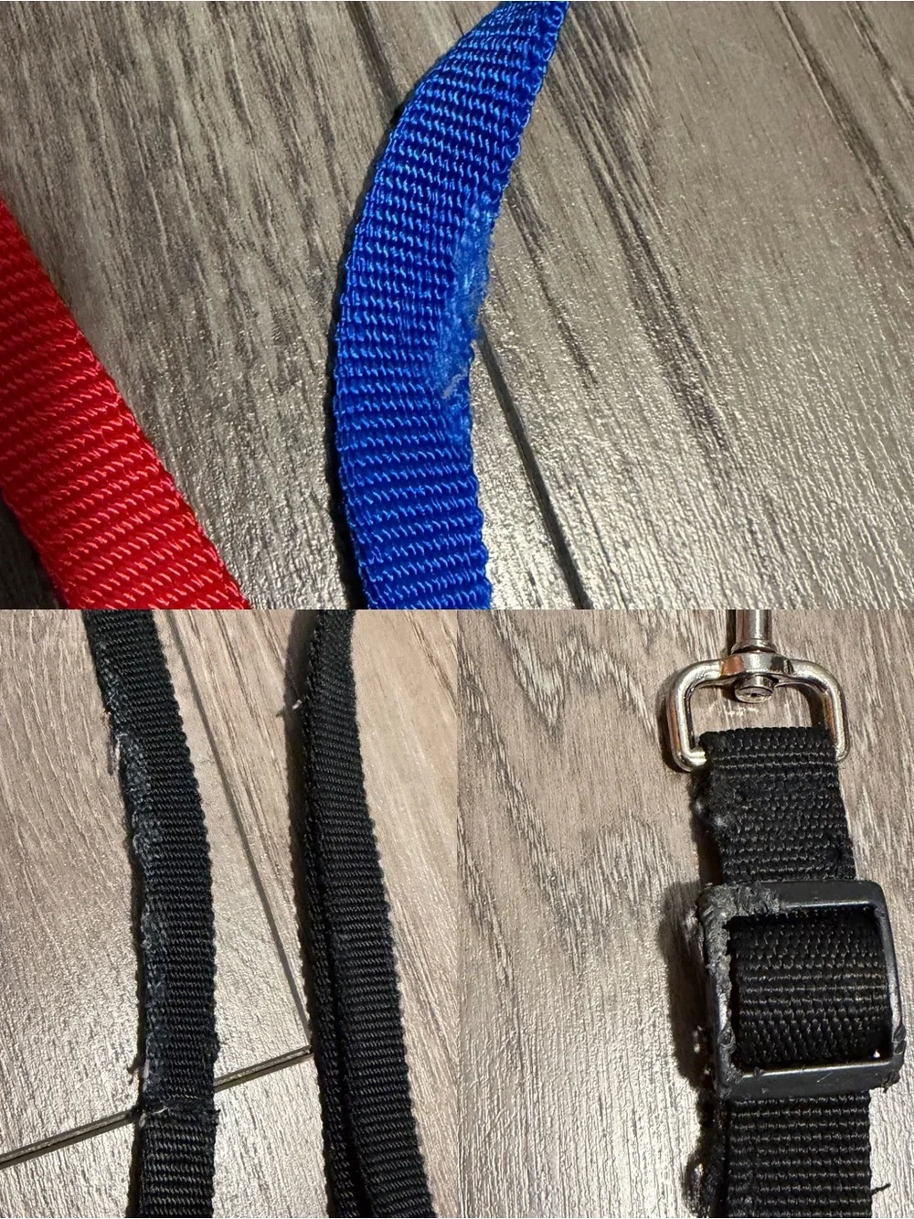 Lot of dog leashes